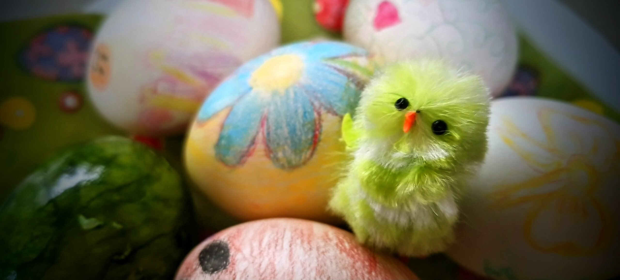 Grüner Osterhase auf Ostereiern