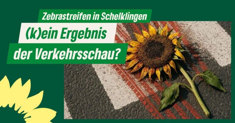Zebrastreifen: Ergebnis der Verkehrsschau in Schelklingen
